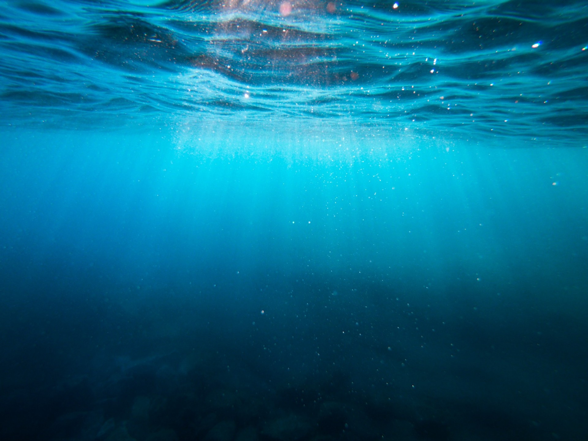 Photo right below the surface of a very blue ocean